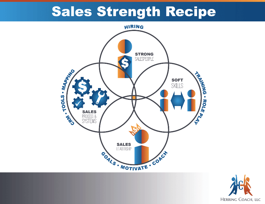 sales strength infographic